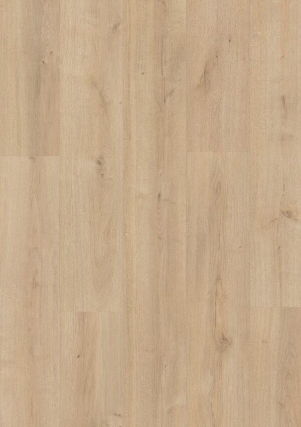 366B Sweetness Vera Oak