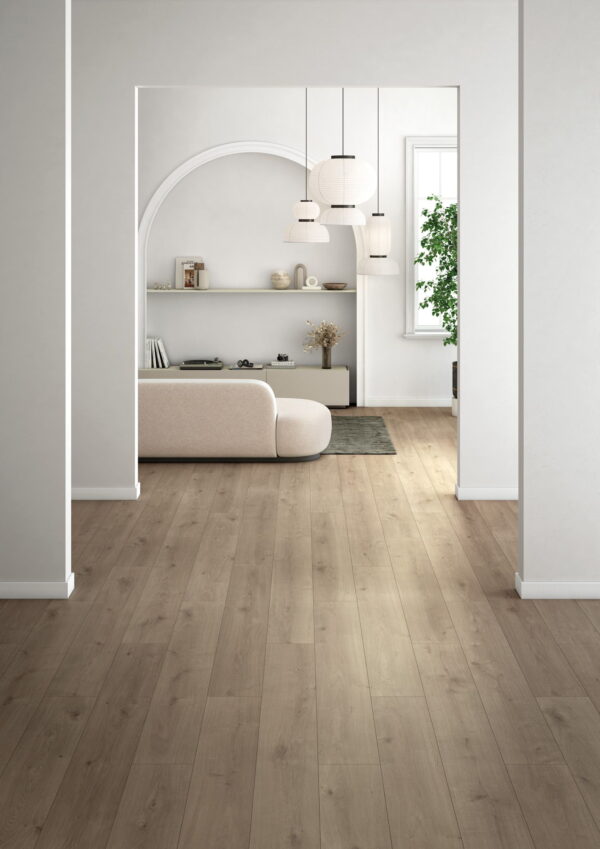 369B Century Vera Oak XL