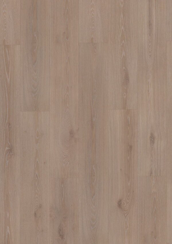 36X Twilight Oak