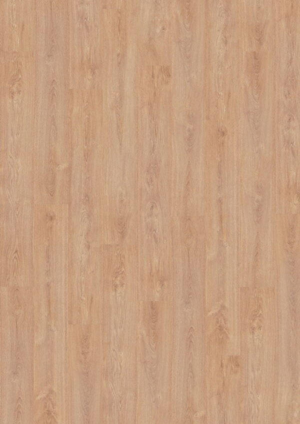 45Y Carvalho Cartago