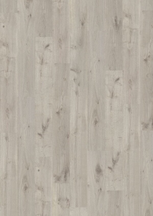 59Z Carvalho Siberia