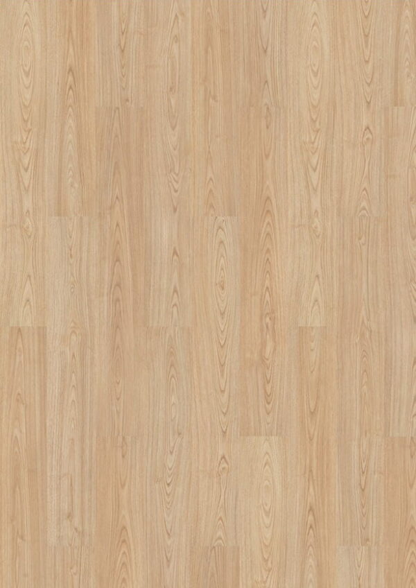 445B Carvalho Charme