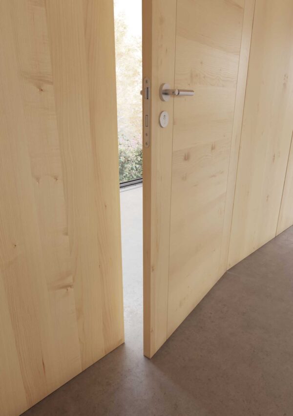 Porta de Interior Faia - Modelo 301