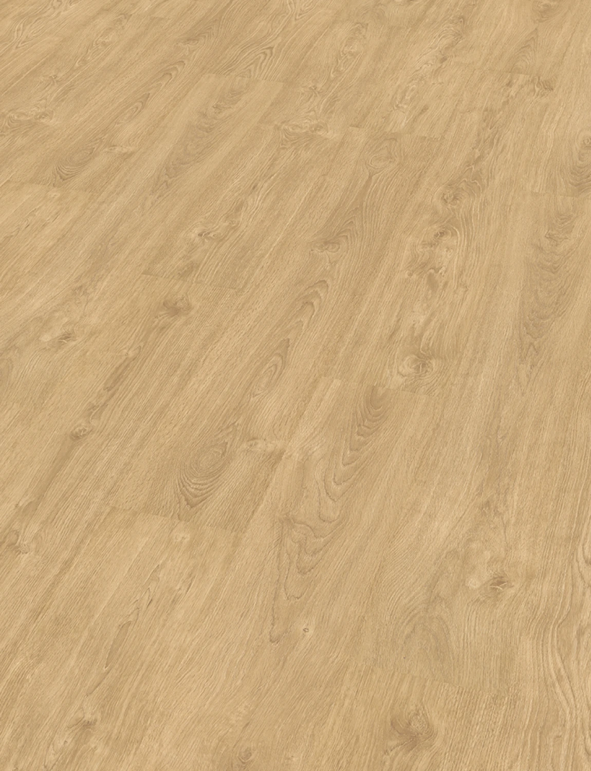 Pavimento Laminado Carvalho Bolonia 12X - Image 3