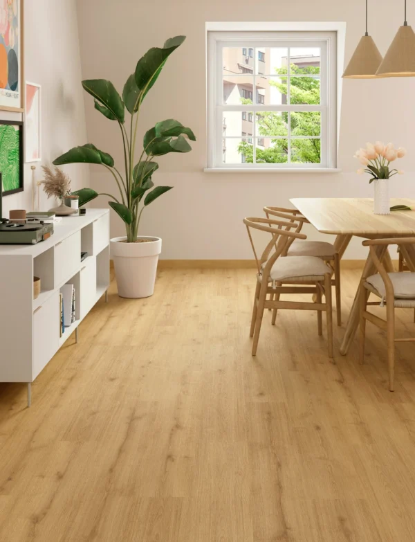 571B Roble Eneas